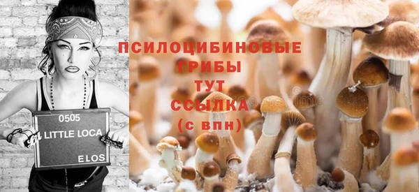 mdpv Надым