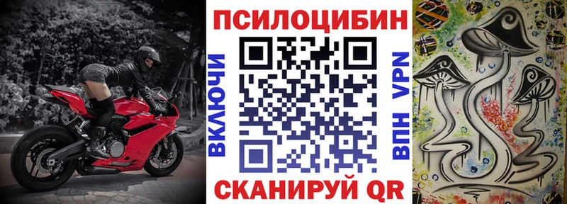 Галлюциногенные грибы мицелий  закладка  Новоузенск 