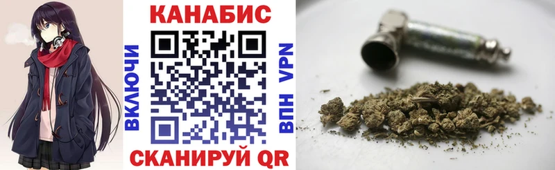 где продают наркотики  Новоузенск  Конопля сатива 